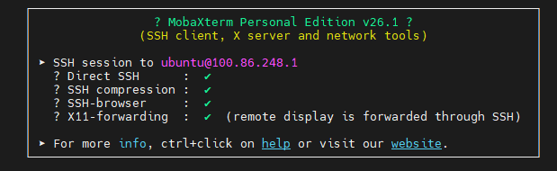 Tailscale 관리 콘솔 - 두 서버가 연결된 화면